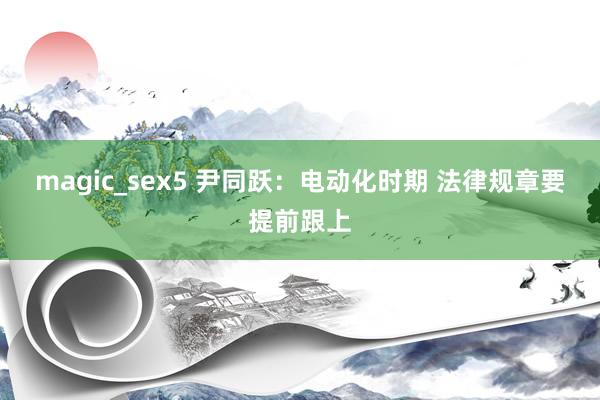 magic_sex5 尹同跃：电动化时期 法律规章要提前跟上