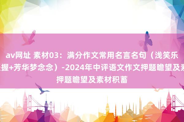 av网址 素材03：满分作文常用名言名句（浅笑乐不雅+坚握+芳华梦念念）-2024年中评语文作文押题瞻望及素材积蓄